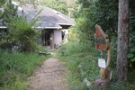 「神話に見る神様の交代劇ー敗者？も復活して歴史を紡ぐー」　〜葛木御歳神社・東川（うのかわ）優子宮司の神道講座〜