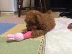 子どもとの時間（3）大学３年生