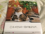 それぞれの時間を思い出させるもの〜岩合光昭『ねこのとけい』〜