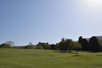 奈良公園・飛火野（とびひの）