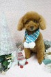 光陰の矢の数と、おなじ枚数の年賀状〜長田弘の詩「賀状」（『深呼吸の必要』所収「大きな木」から）〜