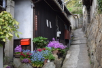 誰もいないのだが、花がそこにある〜長田弘の詩「路地」（『深呼吸の必要』所収「大きな木」から）〜