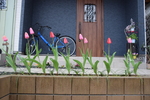 みんなとちがうって　なんてすばらしいの〜折々のことば・鷲田清一＃3051〜