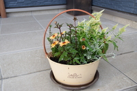 「迷惑をかけあえる関係〜「折々のことば」鷲田清一　＃3527〜」