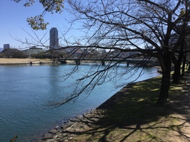 太田川の川べり